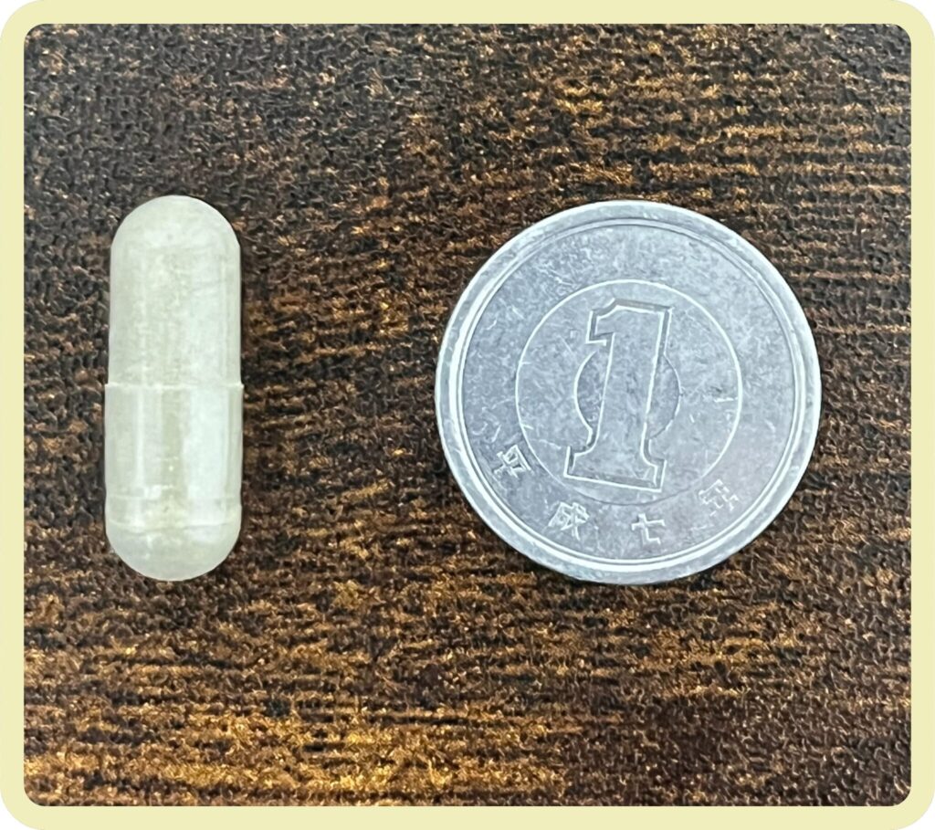 NOW Iron 鉄　粒の大きさ 1円玉 比較