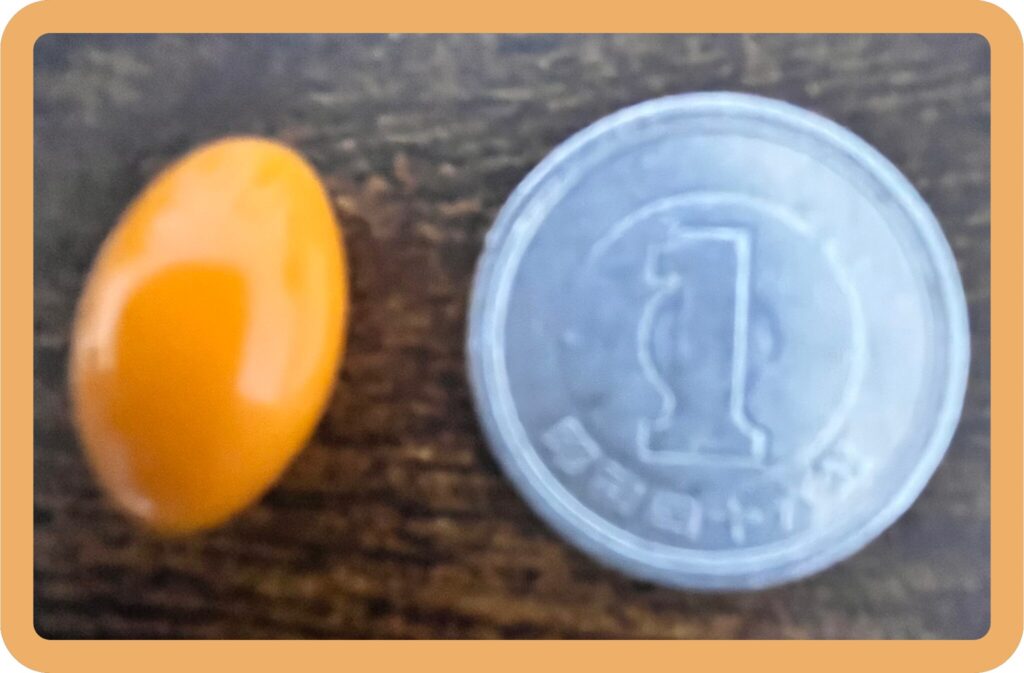 High Absorption CoQ10の粒サイズ
1円玉と比較