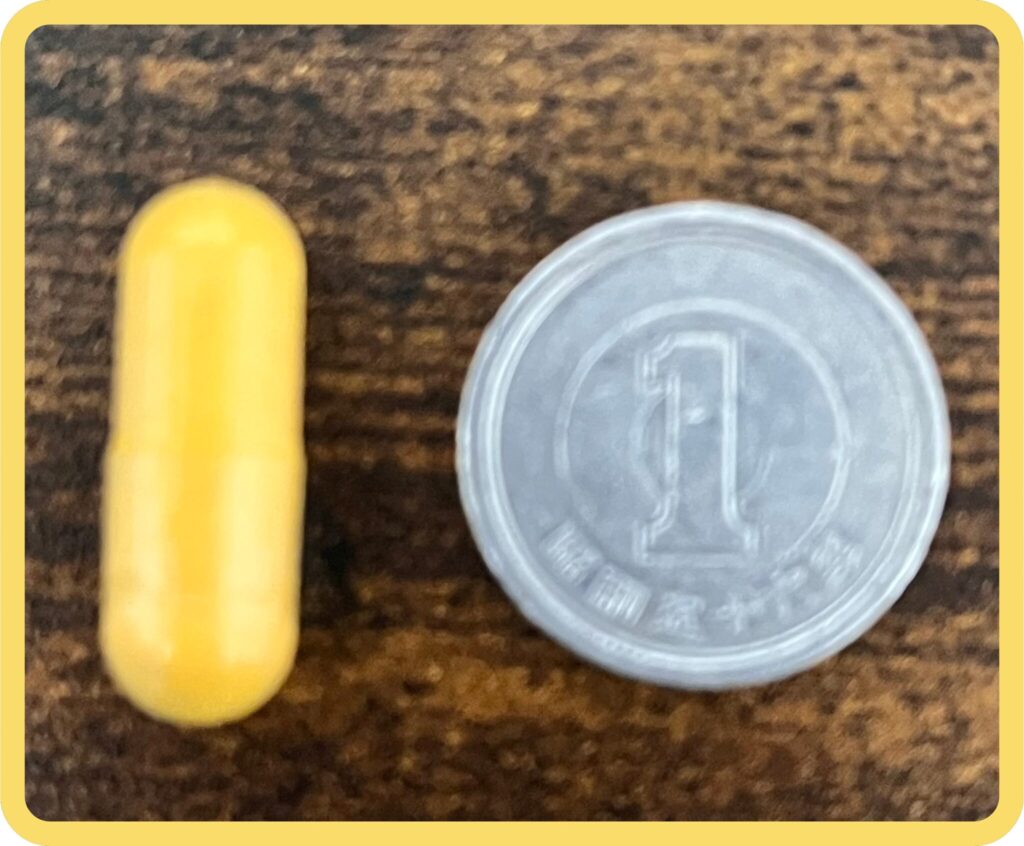 NOW B-50 サプリの粒サイズ。1円玉と並べて大きさを比較