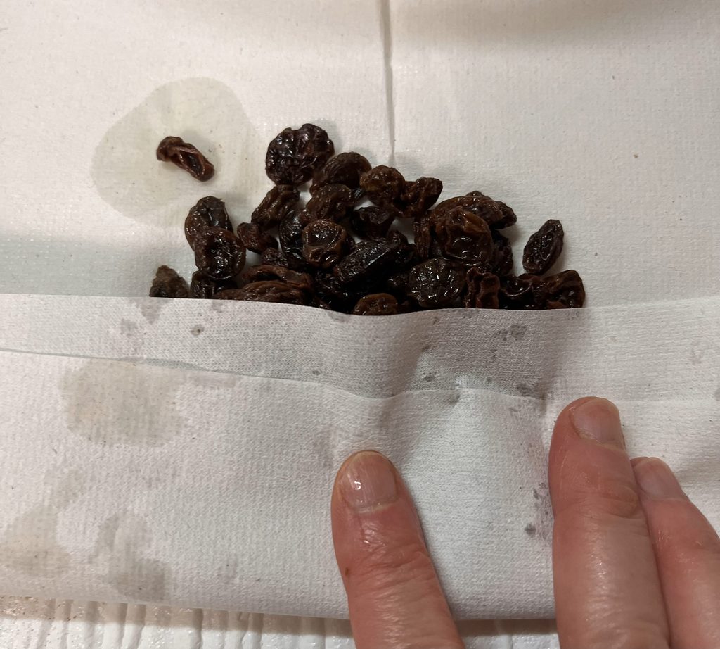 戻したレーズンをキッチンペーパーで押さえて水気を拭き取っているところ